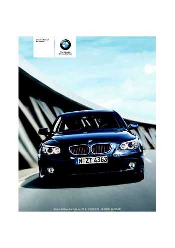 2010 bmw 528i owners manual