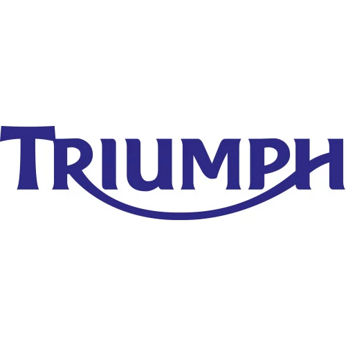2011 triumph speed triple owners manual