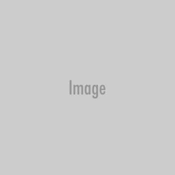 2024 vw atlas owners manual