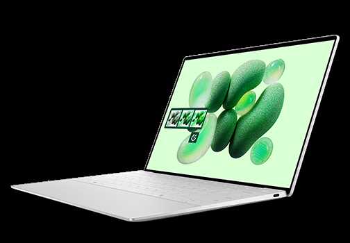 dell xps 13 owners manual
