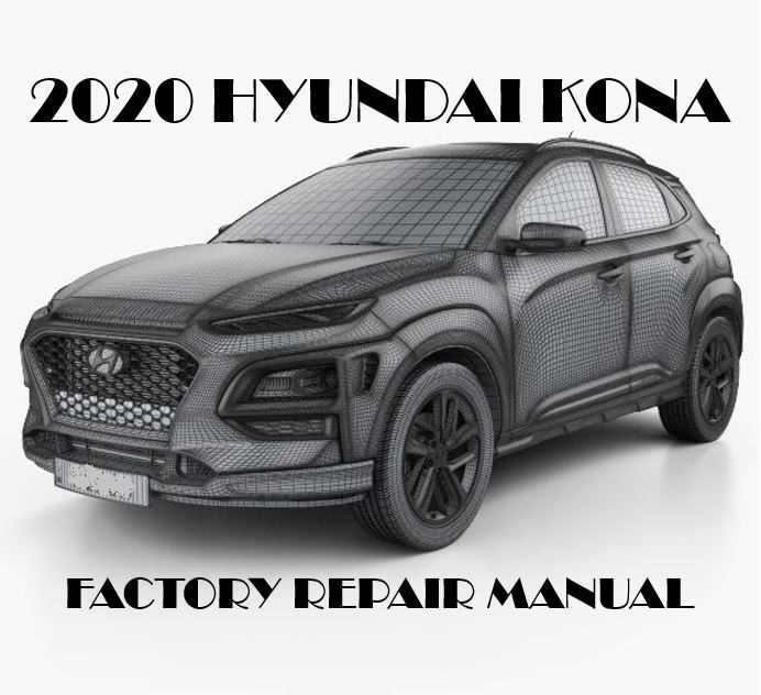 hyundai kona owners manual