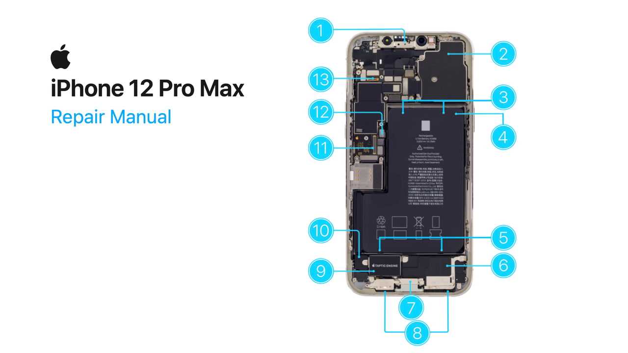 iphone 5c owners manual