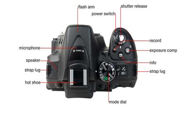 nikon d5300 owners manual