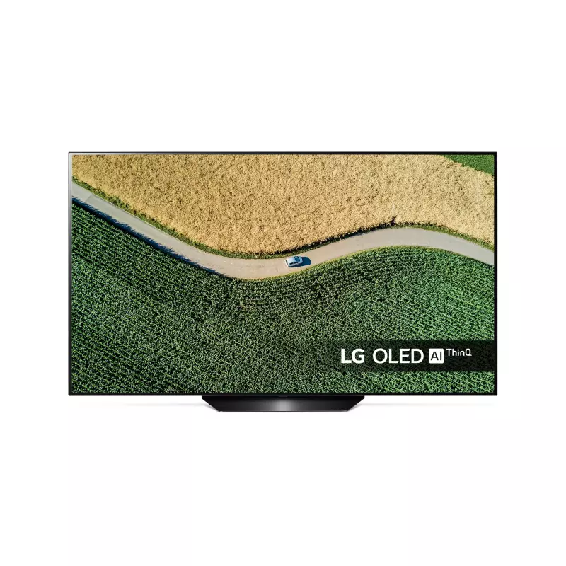 lg 55 oled tv owners manual
