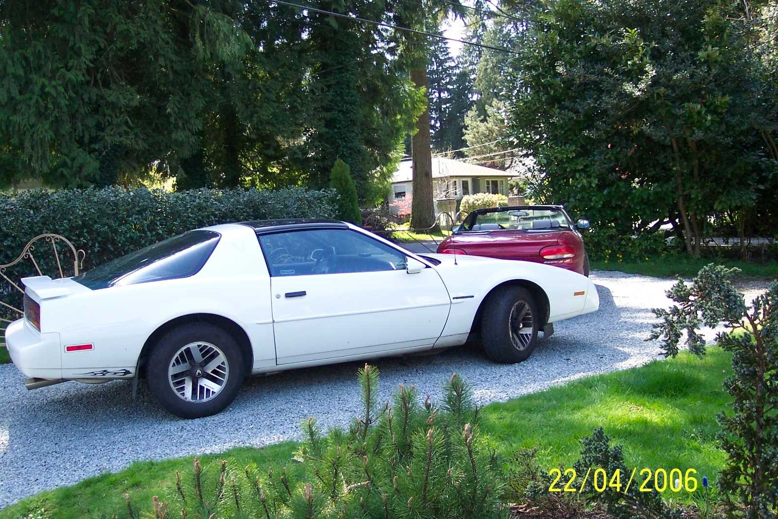 1991 pontiac firebird owners manual