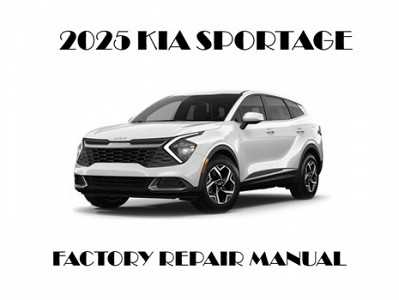 kia sedona 2017 owners manual