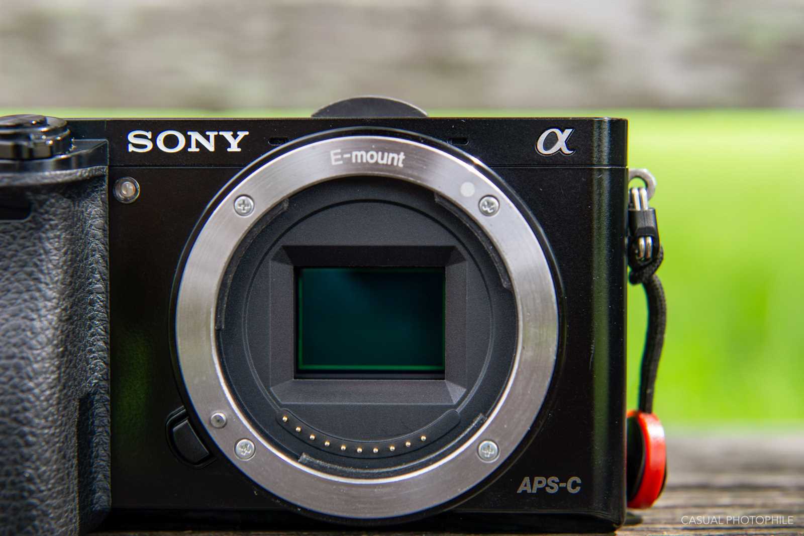 sony a6000 owners manual