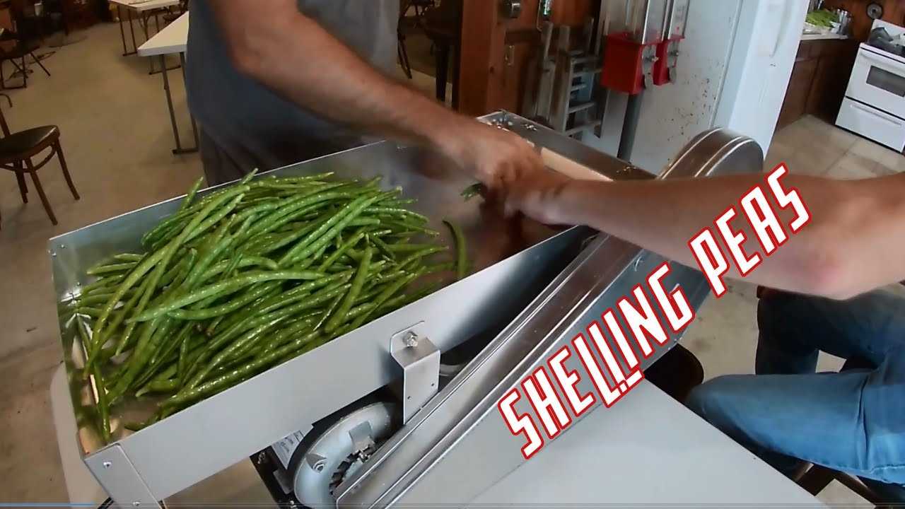 taylor pea sheller owners manual