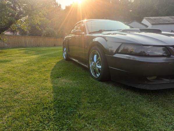 2003 ford mustang gt owners manual