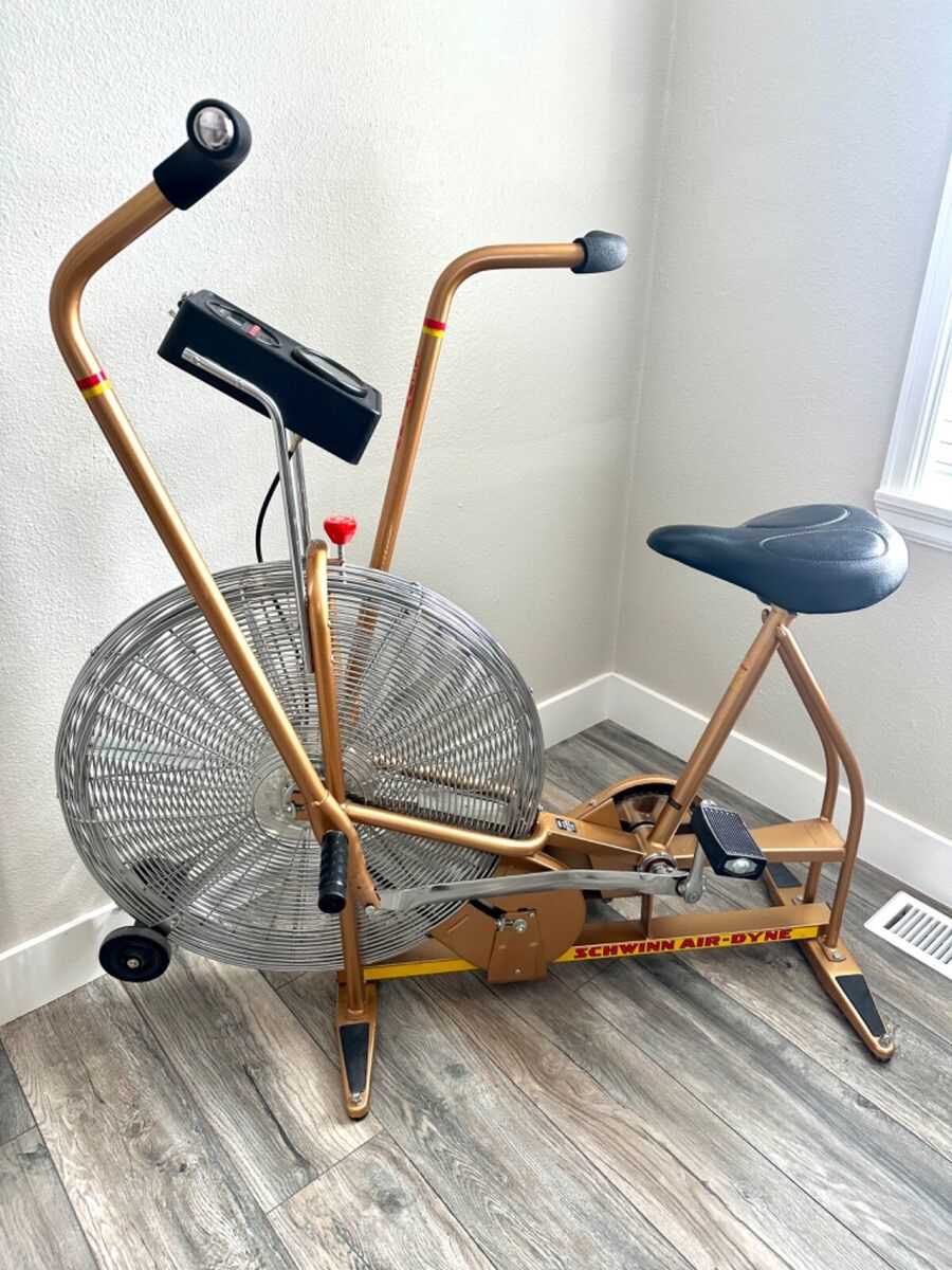 schwinn airdyne ad3 owners manual