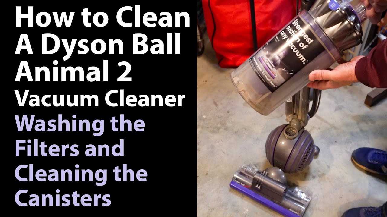 dyson ball animal 2 owners manual