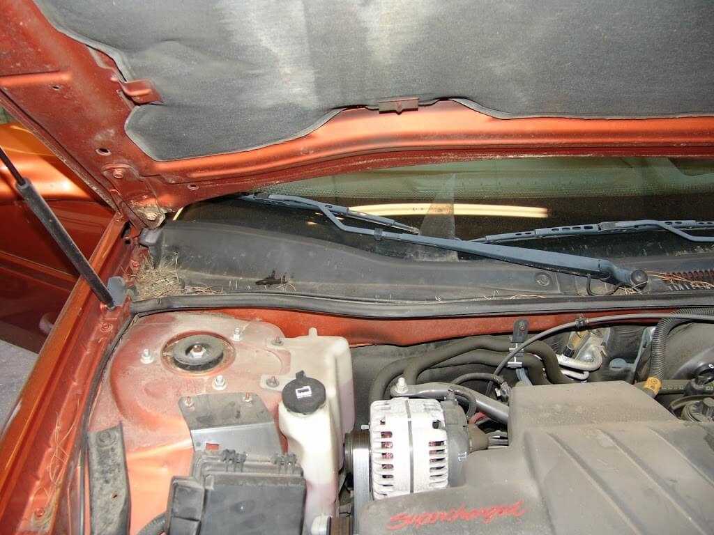 2005 pontiac grand prix owners manual