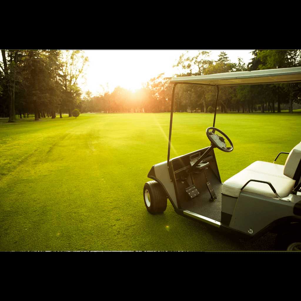 western golf cart owners manual
