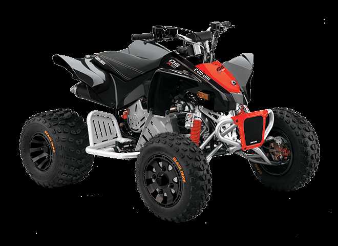 can am ds 250 owners manual
